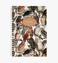 Owls - Wholesale