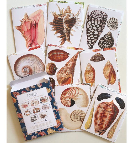 Vintage Sea Shells - Wholesale