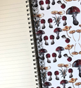 Amanita Muscaria