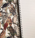 Owls - Wholesale