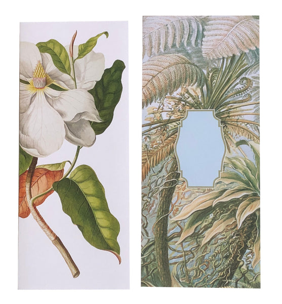 Magnolia Flower