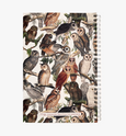 Owls - Wholesale