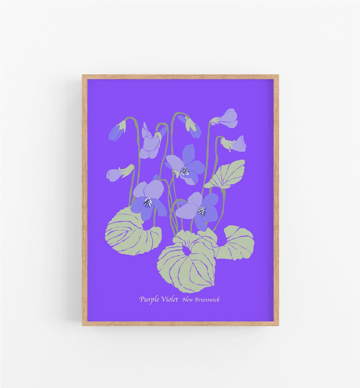 New Brunswick Purple Violet