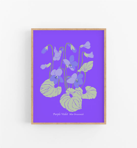 New Brunswick Purple Violet