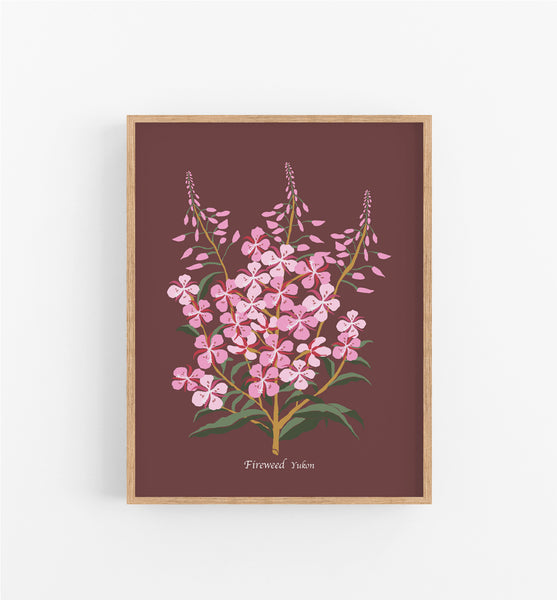 Yukon Fireweed