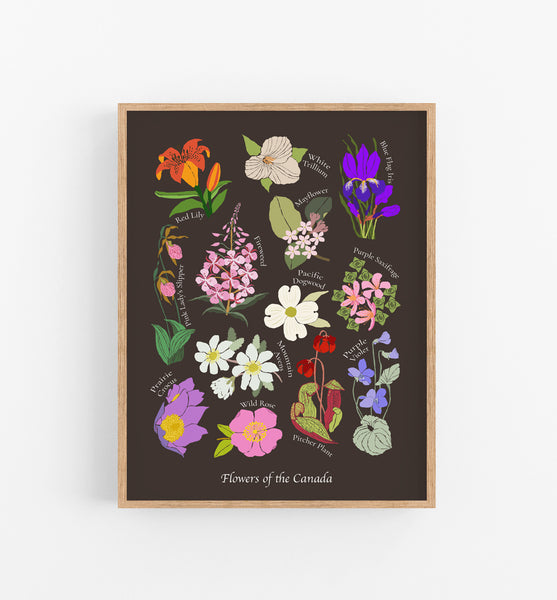 Flowers of the Canada