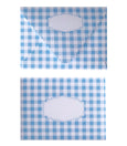 GINGHAM BLUE ENVELOPES & LINERS