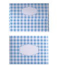 GINGHAM BLUE ENVELOPES & LINERS