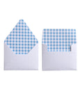 GINGHAM BLUE ENVELOPES & LINERS