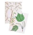 Mountain Maple