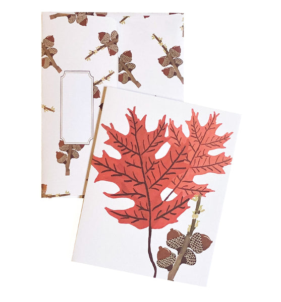 Scarlet Oak - Wholesale