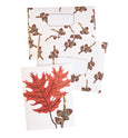 Scarlet Oak