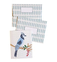 Blue Jay