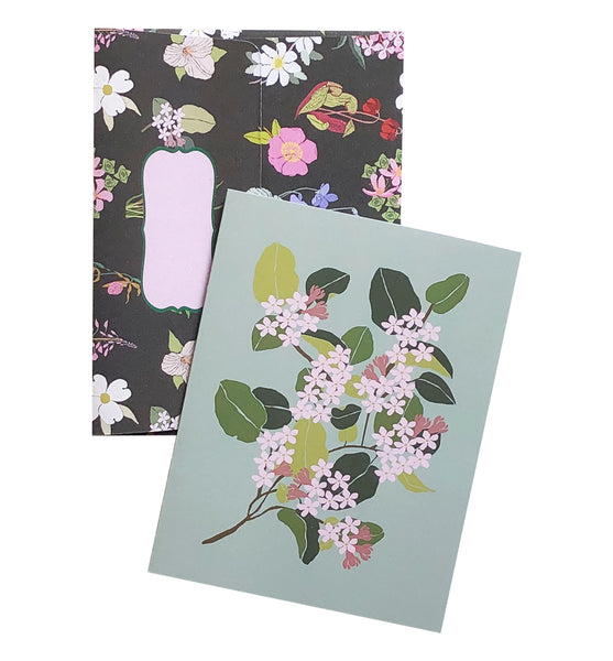 Nova Scotia Mayflower - Wholesale