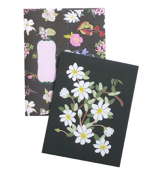 Northwest Territories Mountain Avens - Wholesale