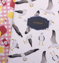 Pigeons & Gulls