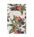 Toucans and Birds of Paradise