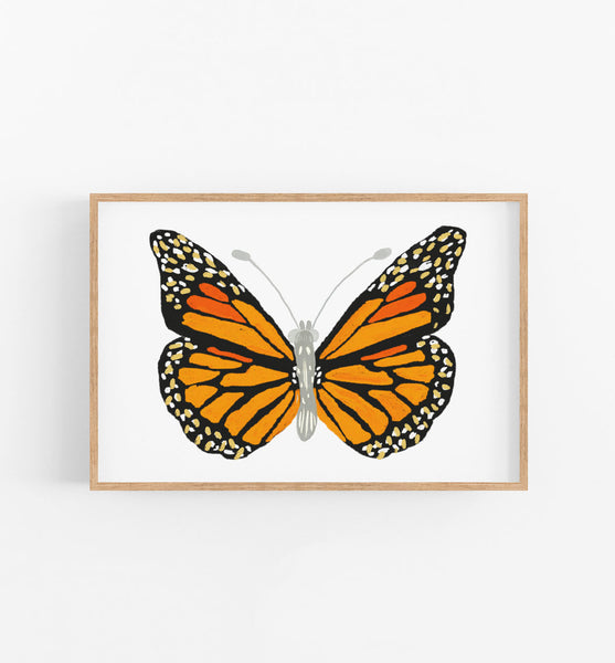 Monarch Butterfly
