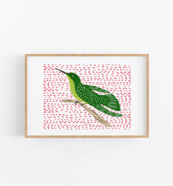 Hummingbird