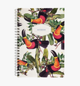 Toucans - Wholesale