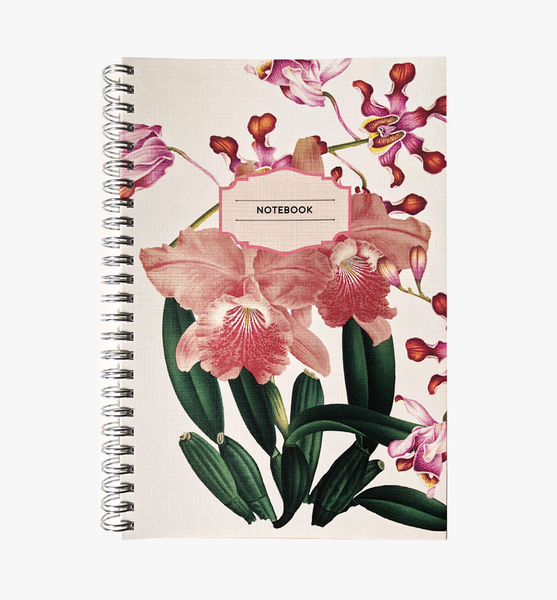 Orchid - Wholesale