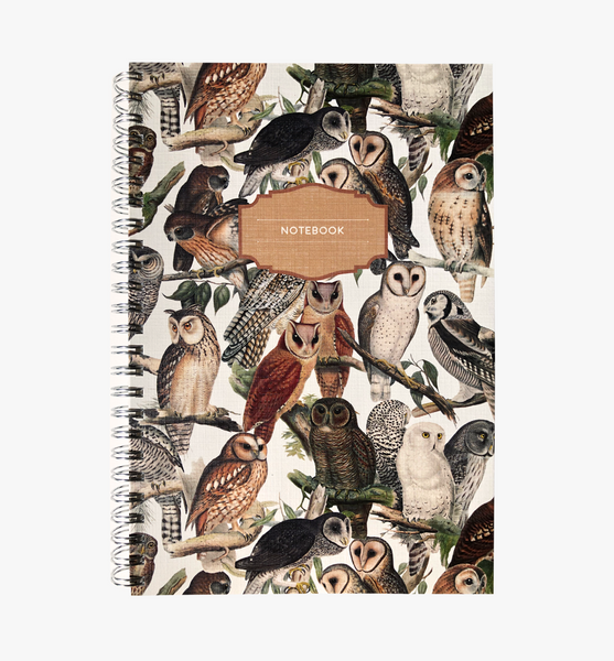 Owls - Wholesale