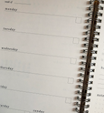 Amanita Muscaria Desktop Weekly Planner
