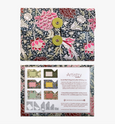 William Morris - Wholesale