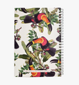 Toucans - Wholesale