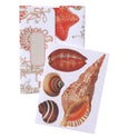 Vintage Sea Shells