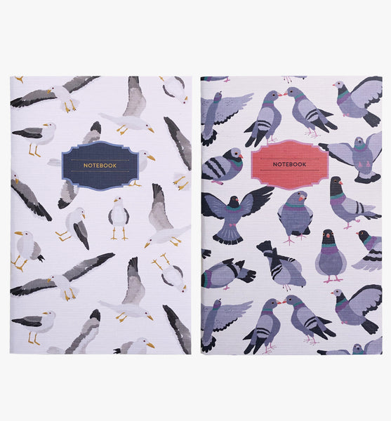 Pigeons & Gulls