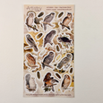 Vintage Owl Vinyl KissCut Sticker Sheet – Woodland & Wildlife Design