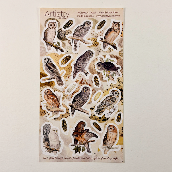 Owls | Wholesale