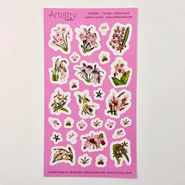 Orchids | Wholesale