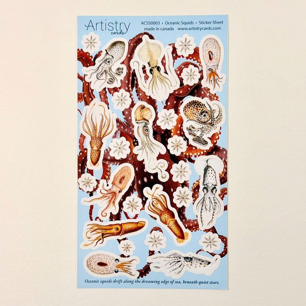 Oceanic Squids | Wholesale