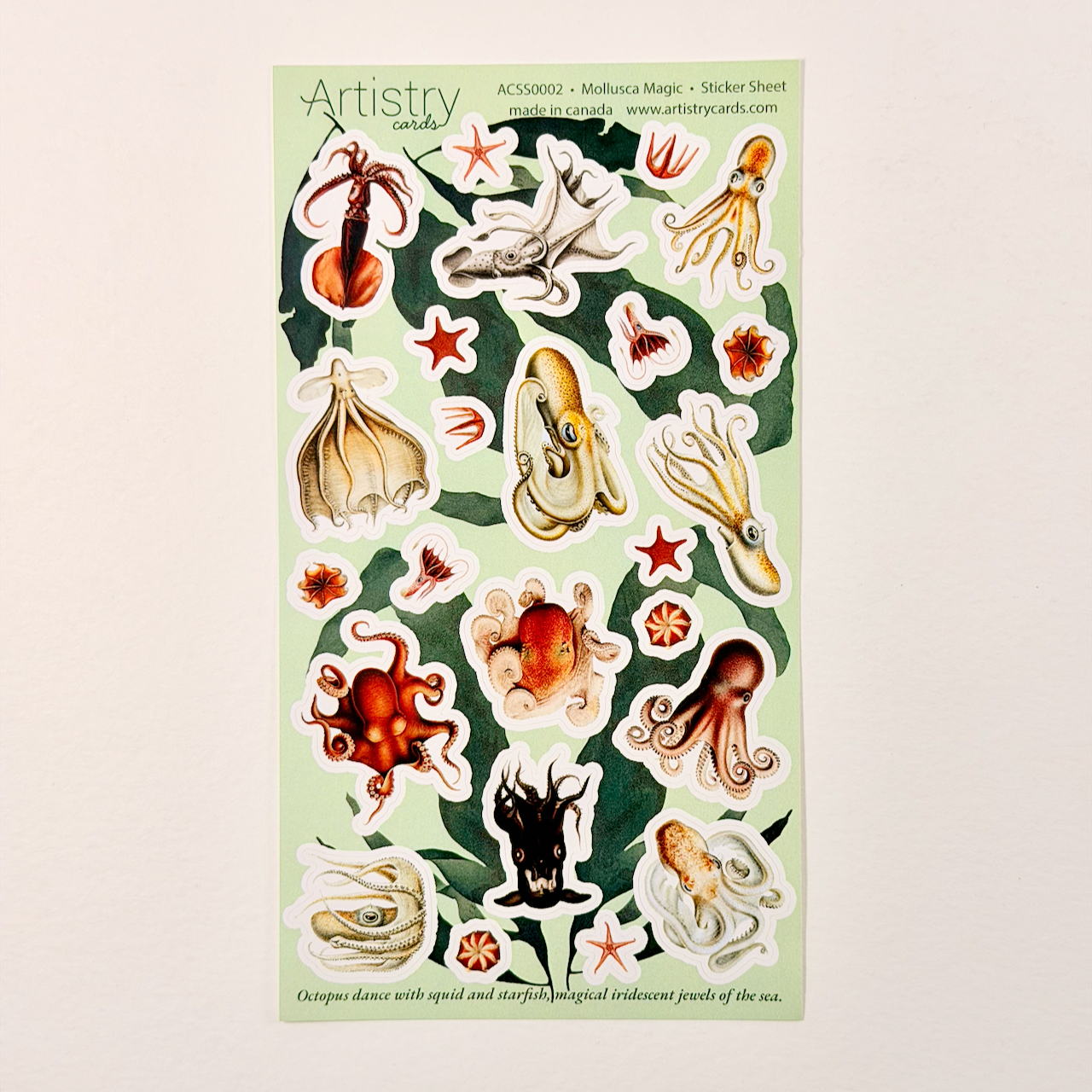 Vintage Mollusca Vinyl KissCut Sticker Sheet – Ocean & Marine Life Design