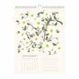 2027 Canadian Botanical Wall Calendar – Provincial & Territorial Flowers of Canada